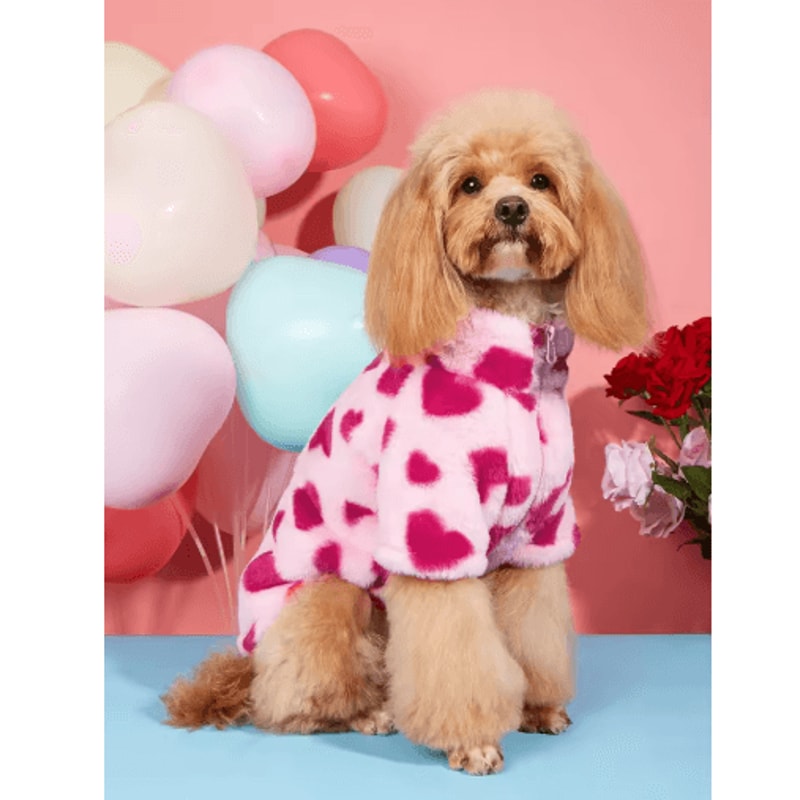 Heart Print Winter Dog Hoodie Super Soft Warm Pet Jacket For Small Medium Dogs 0
