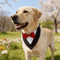 Sucado Wedding Dog Bandana Tuxedo Adjustable Formal Pet Scarf For Parties Special Occasions 8