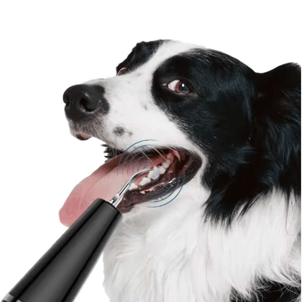 Ultrasonic Pet Tooth Scaler Kit Electric Dog Cat Dental Cleaning Tool For Plaque Removal 3