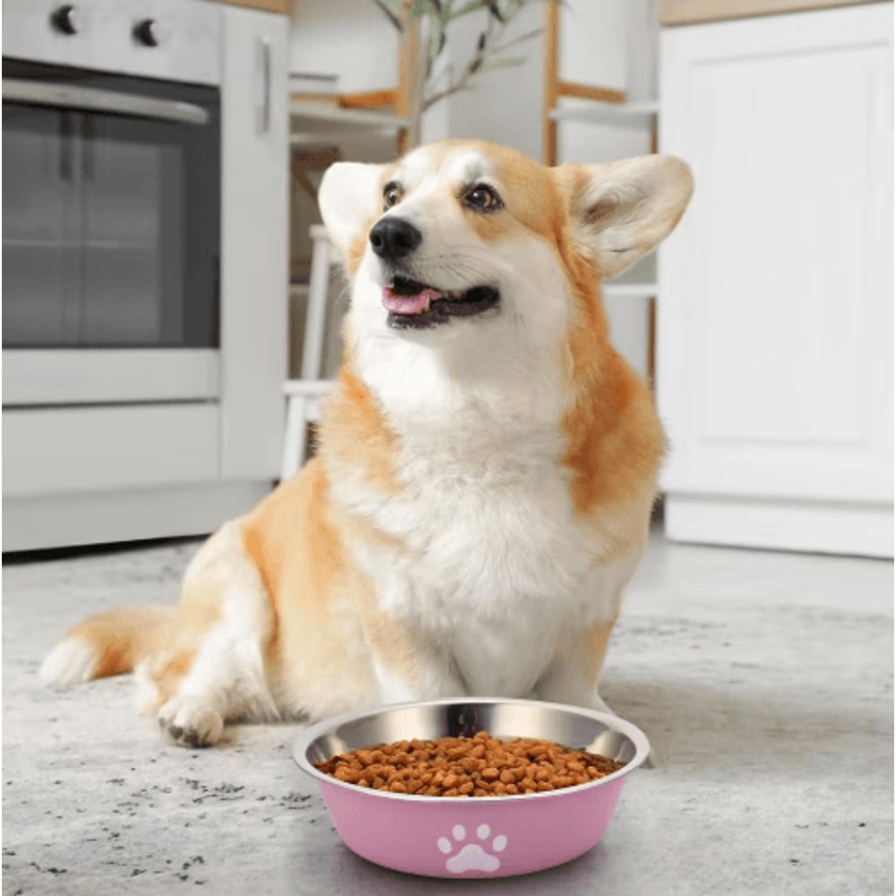 Stainless Steel Pet Feeding Bowl NonSlip Food Water Dish For Dogs And Cats 5