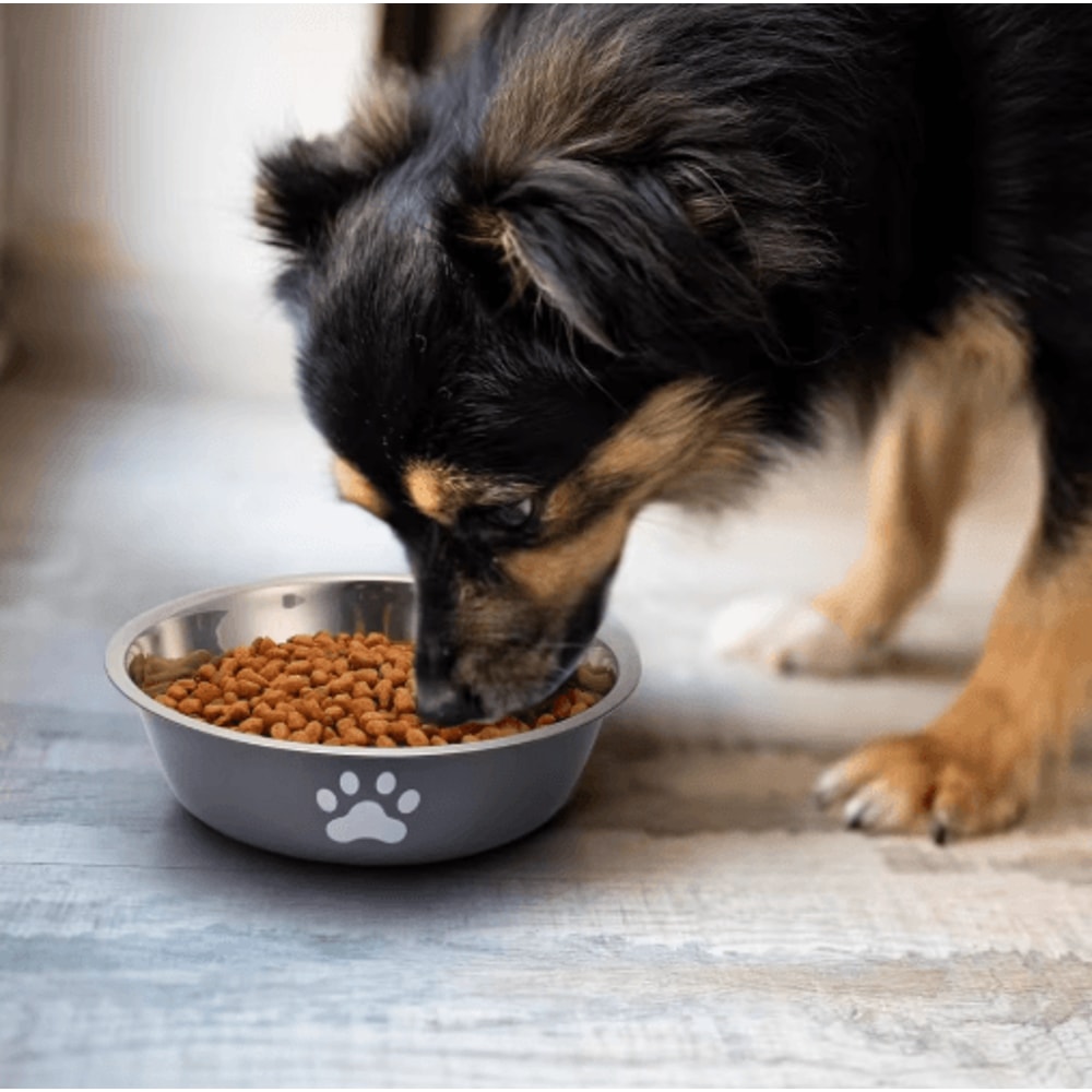 Stainless Steel Pet Feeding Bowl NonSlip Food Water Dish For Dogs And Cats 6