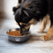 Stainless Steel Pet Feeding Bowl NonSlip Food Water Dish For Dogs And Cats 6
