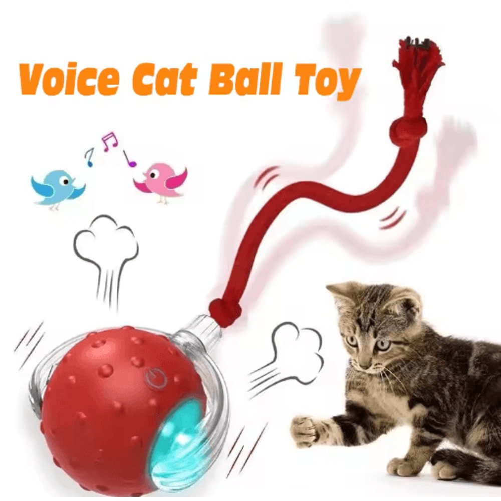 Smart Automatic Rolling Cat Ball Rechargeable Interactive Toy For Active Cats Kittens 9