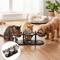15 Elevated Cat Bowl Set Stainless Steel Feeding Bowls With Black Wooden Stand 2