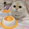 Interactive Pet Lick Mat Slow Feeder Dental Care Snack Plate For Dogs Cats 4