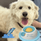 Interactive Pet Lick Mat Slow Feeder Dental Care Snack Plate For Dogs Cats 5