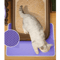Double Layer Cat Litter Mat Waterproof NonSlip Litter Trapping Pad For Cats 4