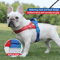 Reflective Dog Chest Harness TwoTone Outdoor Walking Harness With Nylon Handle 9