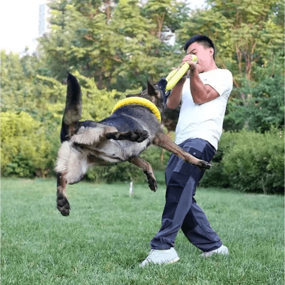 Interactive EVA Dog Flying Disc Floating Training Ring Toy 9