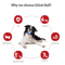Natural Rubber Squeaky Dog Ball Toy For Chewing Outdoor Play 5