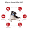 Natural Rubber Squeaky Dog Ball Toy For Chewing Outdoor Play 5