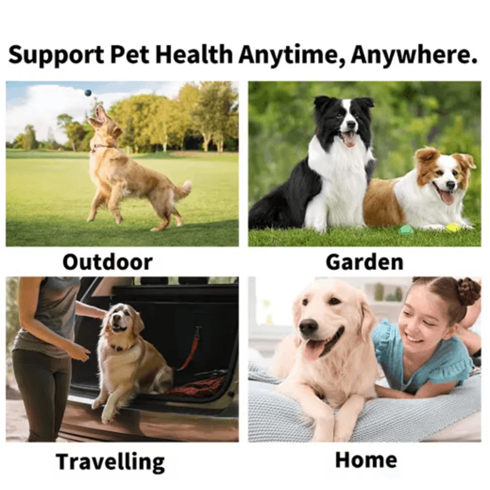 Disposable Pet Teeth Cleaning Finger Wipes For Dogs Cats 3
