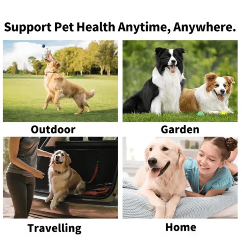 Disposable Pet Teeth Cleaning Finger Wipes For Dogs Cats 3