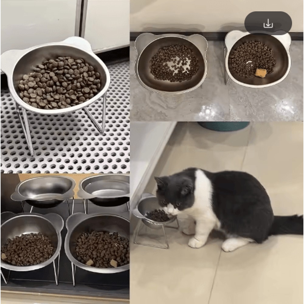 15 Tilted Elevated Stainless Steel Cat Bowl For Comfortable Feeding 4