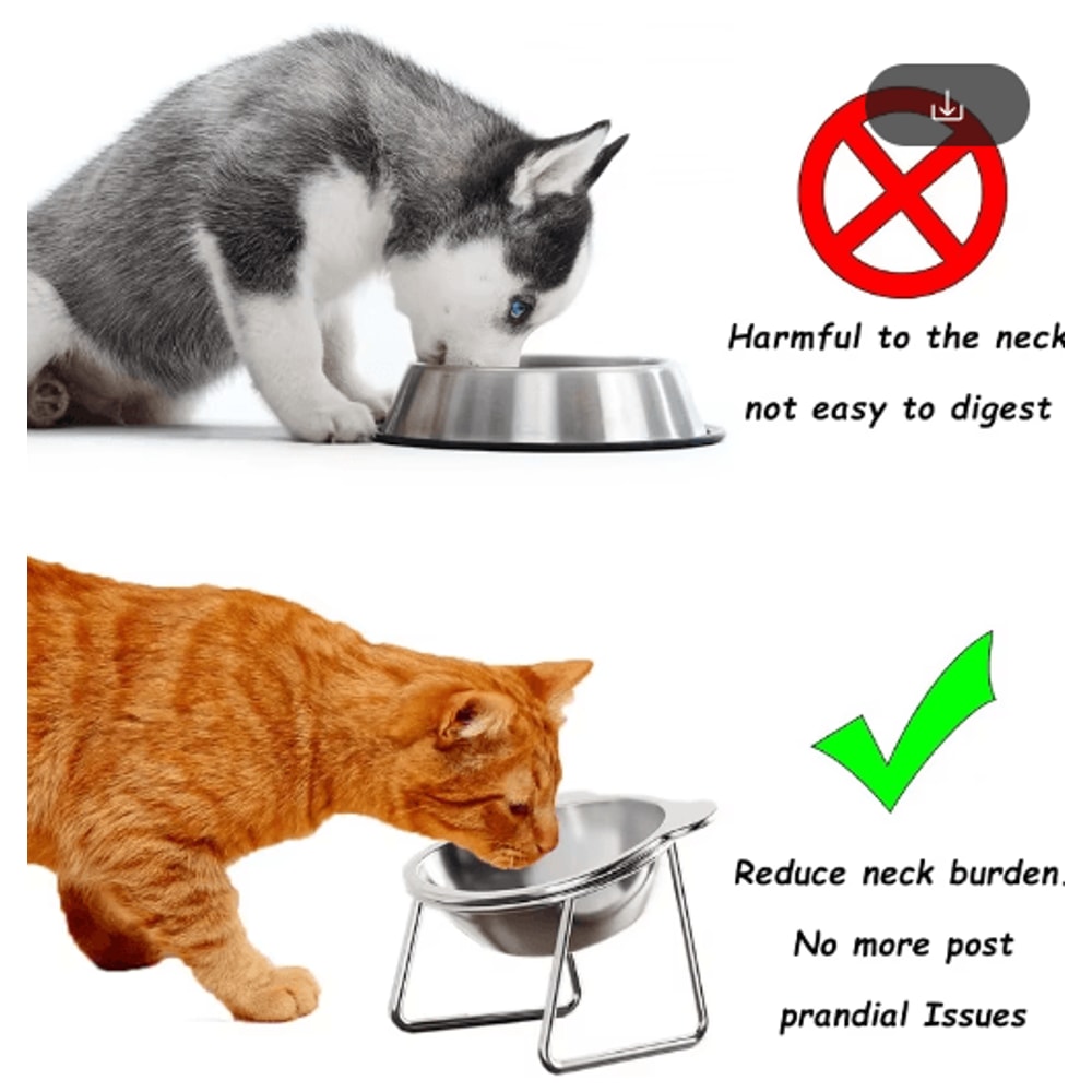 15 Tilted Elevated Stainless Steel Cat Bowl For Comfortable Feeding 6