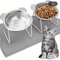 15 Tilted Elevated Stainless Steel Cat Bowl For Comfortable Feeding 0