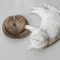 Accordion Magic Organ Cat Scratching Board With Interactive Ball Toy 2