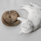 Accordion Magic Organ Cat Scratching Board With Interactive Ball Toy 2