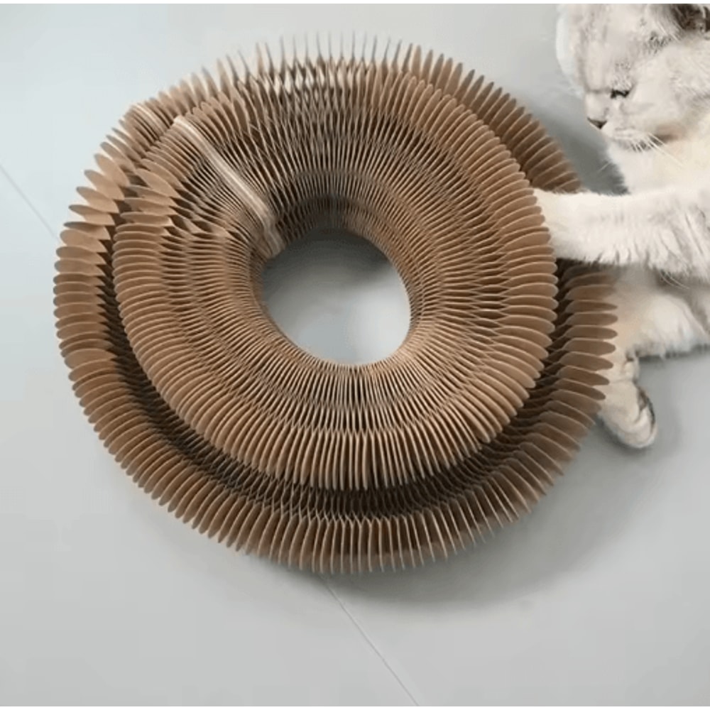 Accordion Magic Organ Cat Scratching Board With Interactive Ball Toy 5