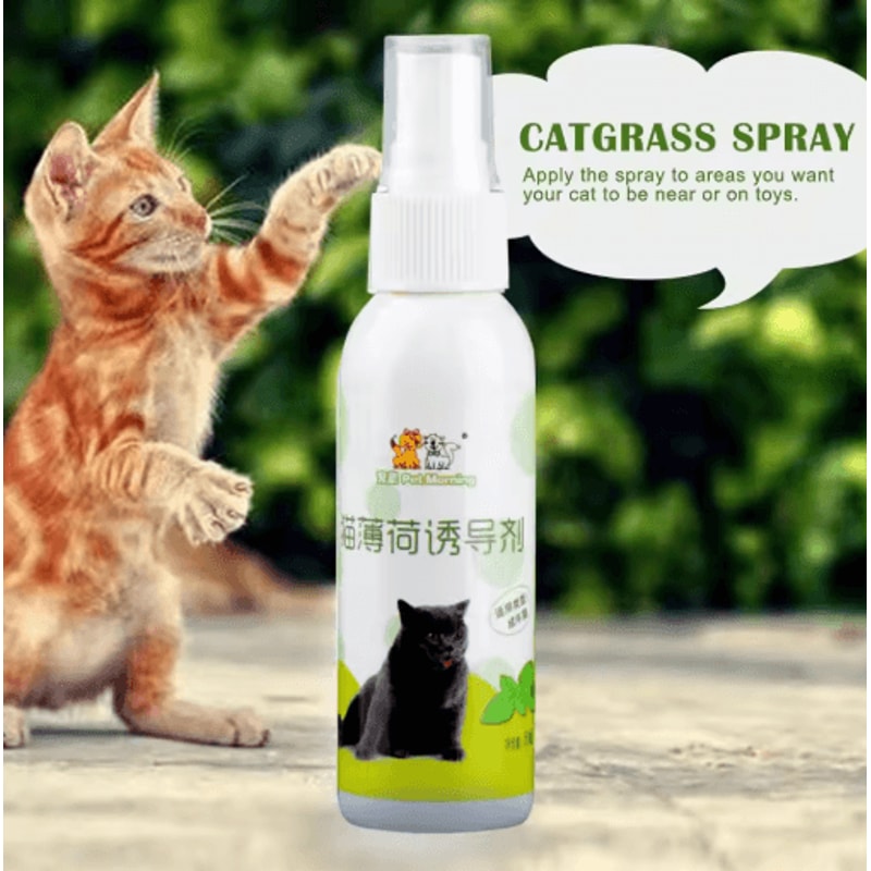 Natural Catnip Spray For Cat Training Play Teeth Cleaning Support 7