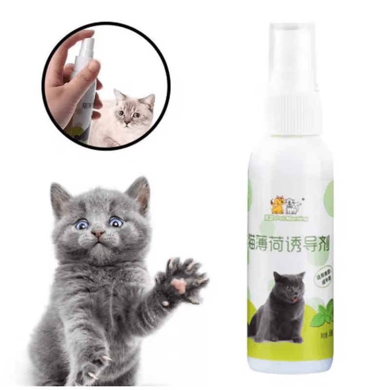 Natural Catnip Spray For Cat Training Play Teeth Cleaning Support 8