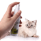 Natural Catnip Spray For Cat Training Play Teeth Cleaning Support 9