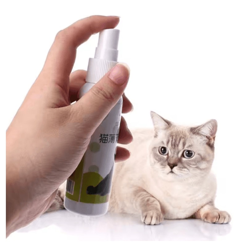Natural Catnip Spray For Cat Training Play Teeth Cleaning Support 9