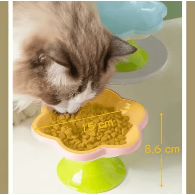 Flower Design Raised Ceramic Cat Bowl With Stand 4
