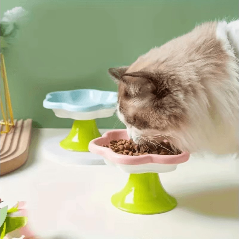 Flower Design Raised Ceramic Cat Bowl With Stand 0