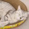 Oval Corrugated Cat Scratching Board Claw Grinding Nest 7