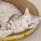 Oval Corrugated Cat Scratching Board Claw Grinding Nest 7