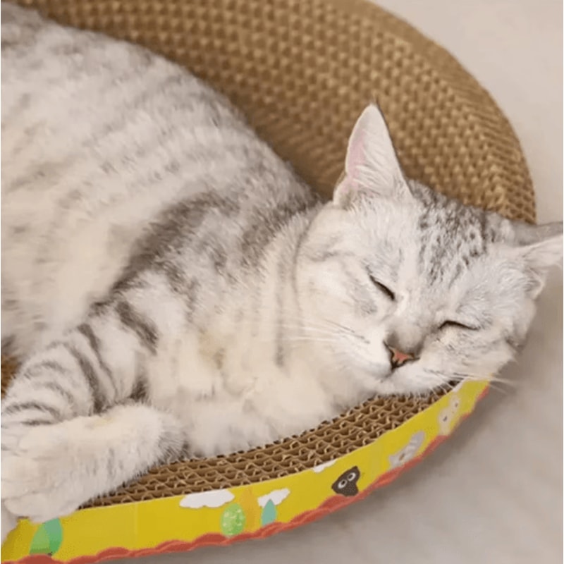 Oval Corrugated Cat Scratching Board Claw Grinding Nest 7