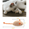 5PCS Catnip Mouse Toys Set For Interactive Indoor Play 6
