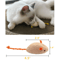 5PCS Catnip Mouse Toys Set For Interactive Indoor Play 6