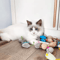 Rattle Catnip Mouse Toys Set For Interactive Indoor Play 4