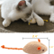 Rattle Catnip Mouse Toys Set For Interactive Indoor Play 5