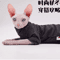 Cozy FourLegged Cat Jacket For Sphynx Hairless Cats 1