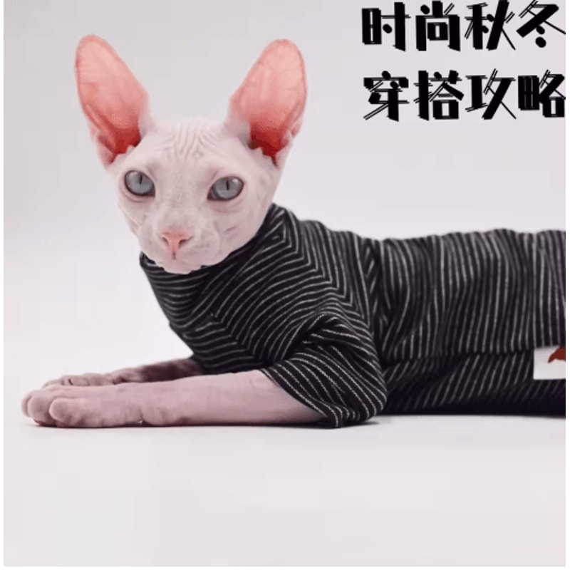 Cozy FourLegged Cat Jacket For Sphynx Hairless Cats 1