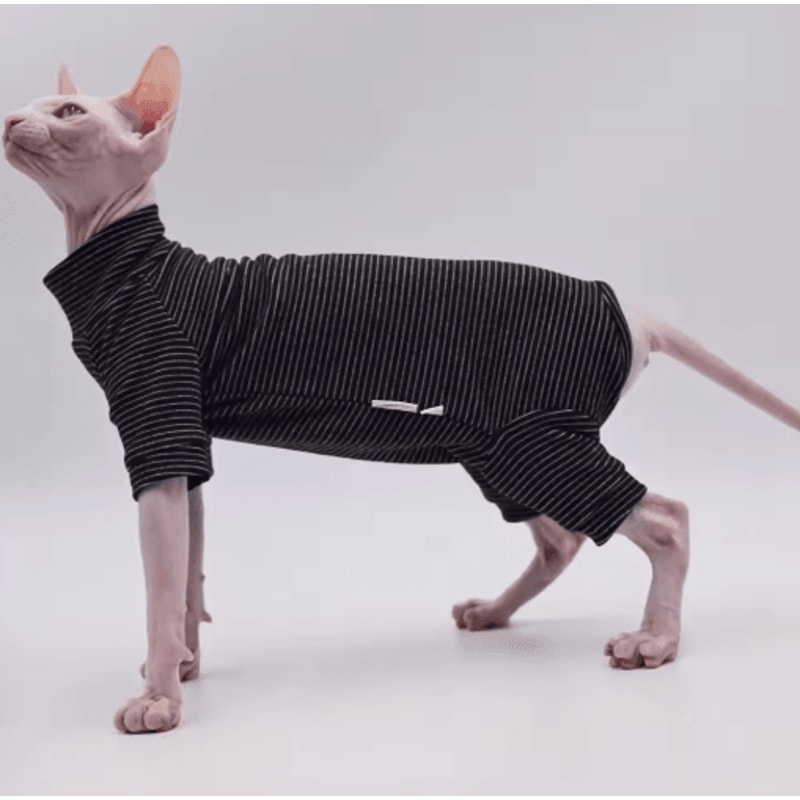 Cozy FourLegged Cat Jacket For Sphynx Hairless Cats 4