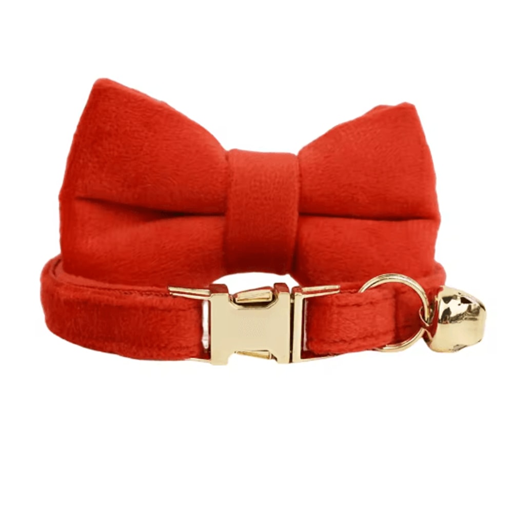 Personalized Velvet Cat Collar With Engraved Name Bow Bell 29