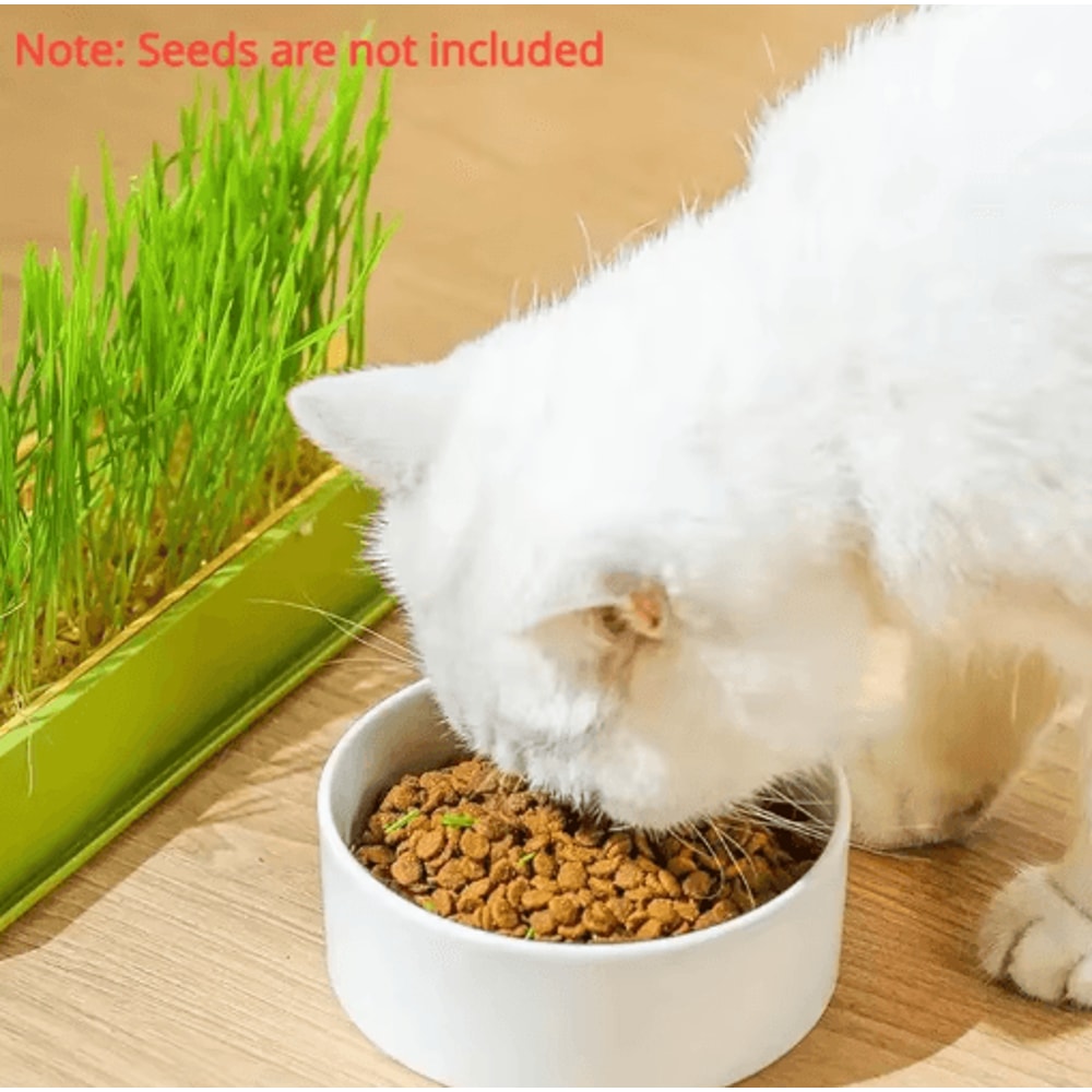 Layered Soilless Cat Grass Growing Kit With Seed Germination Tray 6