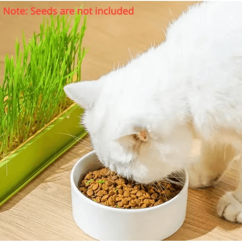 Layered Soilless Cat Grass Growing Kit With Seed Germination Tray 6