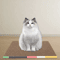 Durable Corrugated Cardboard Cat Scratching Board For Indoor Cats 6