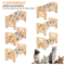 PawRise Adjustable Elevated Pet Bowl Stand With Stainless Steel Dishes 3