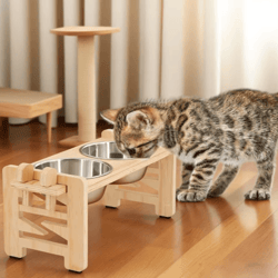pawrise adjustable elevated pet bowl stand with stainless steel dishes