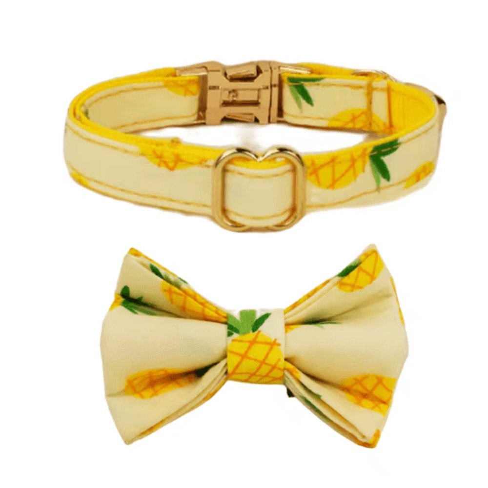 Bella Bow Personalized Cat Collar With Adjustable Safety Buckle 1