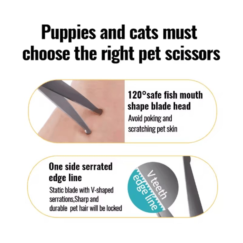 Fenice Professional Round Tip Pet Grooming Scissors Safe Trimming Tool For Eyes Face Paws 10