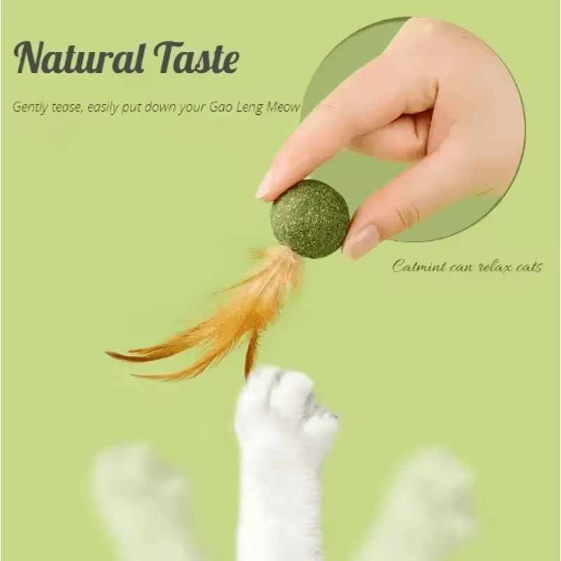 MintyPaws Edible Catnip Ball Toy Interactive Dental Chasing Treat For Cats 8