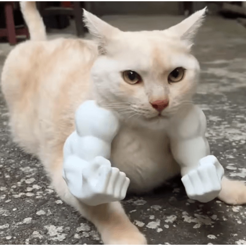 PowerPaws Muscle Arm Cat Pendant Collar Funny Strong Arm Pet Neck Accessory 9
