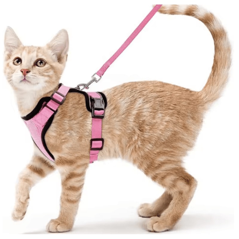 EasyControl Escape Proof Cat Harness Leash Vest For Safe Walking 1
